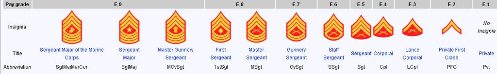 Marine Corps: Ranks, Titles, Insignias, Abbreviations Enlisted Rank Structure Increasing Seniority Warrant Officer Rank Structure Pay Grade W-5 W-4 W-3 W-2 W-1 Insignia Title Chief