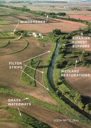 Goals And Outcomes Each Goal Has an Outcome Example 2: Vital Habitats Goal Outcomes Wetlands restoration restore 85,000 acres