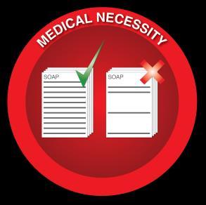 attorney Third party payer's medical necessity auditor Risk
