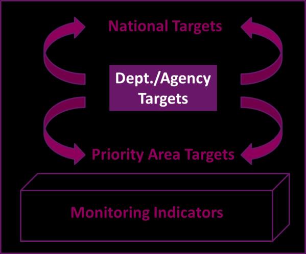 Figure 3: Framework of Metrics and Targets Source: Forfás National Targets The Framework, through the National Targets, aims to reflect the full STI system and, in particular, the outputs and