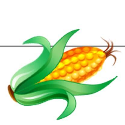Life Outside of Physics: Upcoming Events Urbana Sweet Corn Festival Aug.