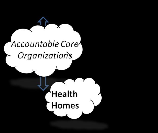 Levels of Risk Accountable Care Organizations More Less Vertically integrated provider systems that include health homes Not envisioned as condition specific ACOs started as a Medicare demo - shared