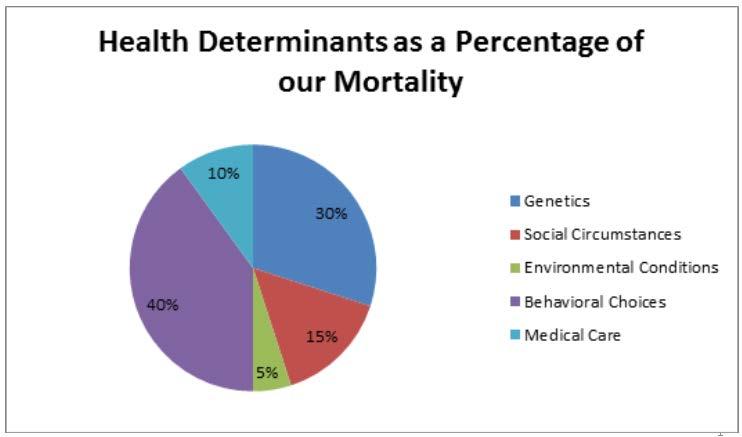Health determinants that affect mortality 10% is healthcar e