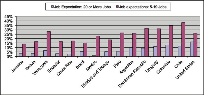 30 High-growth entrepreneurship has been shown to contribute disproportionately to new job creation by new firms (Birch, 1987).