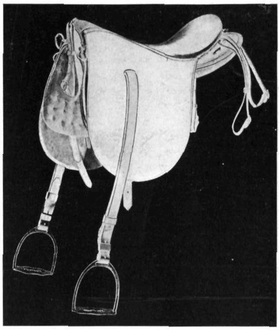 I. M. COLONIAL SADDLE Tree, 19 inch extended bar somerset, crupper loop. Seat, kip, Skirts, 19½ 19½ seamed to seat. Pads, sheep skin serge lined. Stirrup leathers, 1¼-inch riveted and sewed.