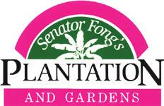 ONE FREE CHILD ADMISSION (AGES 6-12) AT SENATOR FONG S PLANTATION AND GARDENS $ 9.00 Senator Fong s Plantation & Gardens in Oahu, Hawaii is a 700-acre, family-owned tropical garden.