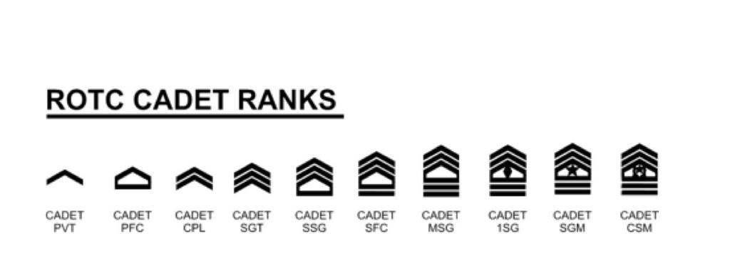 MSIII s assume the responsibilities that Non-Comissioned Officers (NCO s). To understand MSIII Leadership, understand MSIII Cadet NCO (c/nco) Rank structure (see Figure 2)