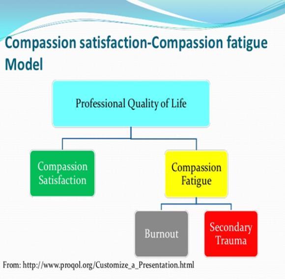 18 Figure 1. ProQOL: Professional Quality of Life (2017). Compassion Fatigue is a complex combination of burnout, secondary traumatic stress, and compassion satisfaction.
