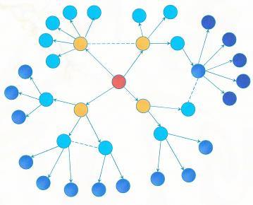 Design/Analysis Social Network