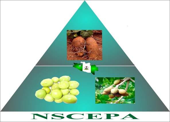 SHEA SECTOR DEVELOPMENT IN NIGERIA ISSUES, CHALLENGES AND WAY FORWARD By Mohammed