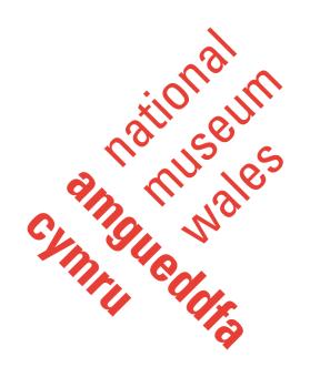 Cymru National Museum