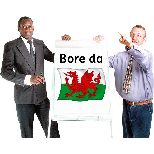 staff who speak Welsh provide
