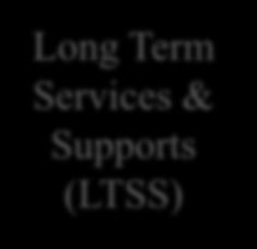 Health Services Long Term Services & Supports (LTSS) Transportation Durable Medical