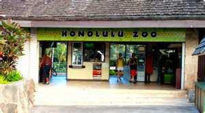 Hours: 10:30 am-closing Times Vary The Honolulu Zoo 151 Kapahulu Avenue, Honolulu Phone: 971-7171 *The zoo offers twilight tours, the chance to camp and lie with the lions, and zooper birthday