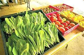 Nutrition Farmers Markets Honolulu Manoa Marketplace: 6 to 11 a.m. Sundays, Tuesdays and Thursdays, 2752 Woodlawn Drive. Call 988-0520. Shops at Dole Cannery: 9:30 a.m. to 12:30 p.m. Mondays, second-floor atrium.