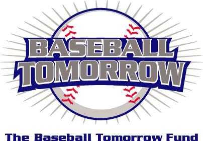 BASEBALL TOMORROW FUND APPLICATION HELP The Baseball Tomorrow Fund (BTF) grant application includes an eplanation or description of the information requested for each section.