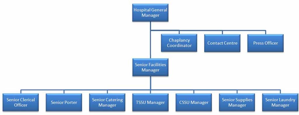 Management Hierarchy The support services to the hospital are considered in the management hierarchy as such the roles of all managers fall