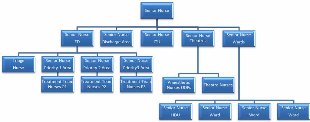 Nursing Hierarchy The roles of all nurses fall within the nursing hierarchy which is led by the