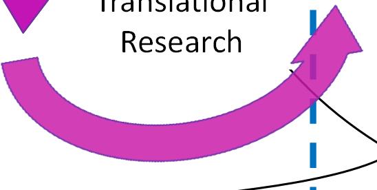 Translational Research Angel