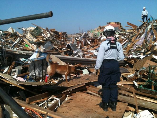 Photo courtesy of Texas. ABOUT NEMA: Established in 1974, NEMA represents the emergency management directors of the 50 states, territories, and the District of Columbia.