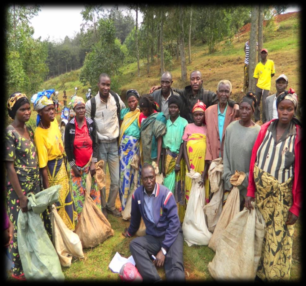 PFP Impact Evaluation Funding by NIH/NIMHD 10 villages of Walungu Territory, South Kivu Province Includes adult men and women (16 years and older) 60-100 participants per village 30