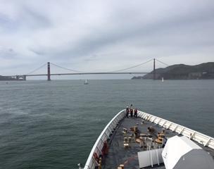 We saw whales breaching and a school of dolphins about five miles outside the Golden Gate Bridge.