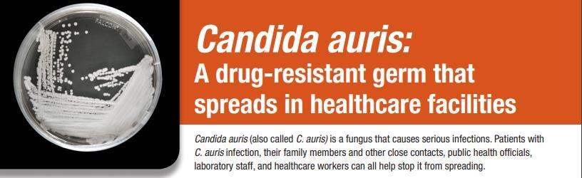 Antibiotic Resistance: MDROs in Massachusetts Candida auris Example DPH provides epidemiologic investigation support and guidance when specific MDROs are suspected to mitigate any exposure.