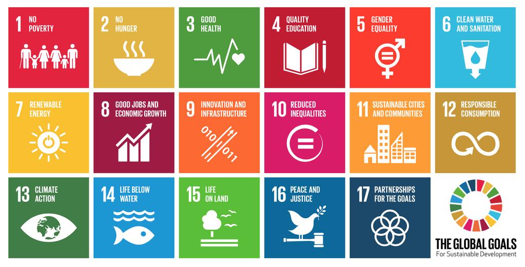 The Sustainable Development Goals This year s conference theme THINK BIG for Global Goals recognises the critical role the education sector has to play in realising the Sustainable Development Goals