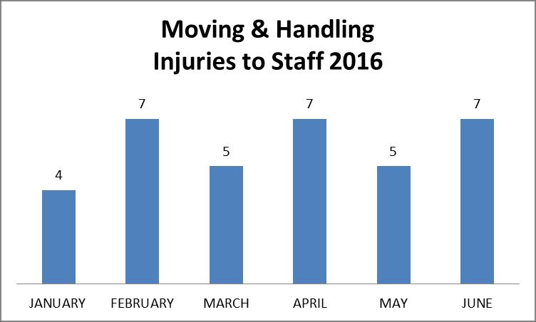 Table 16: Moving and Handling injuries to staff in 2016 11. Health, Safety and Wellbeing Activity 11.