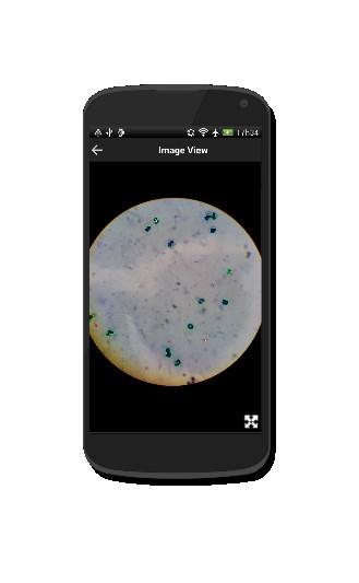 Ricardo Jorge); Develop a mobile-based solution for pre-diagnosis of Malaria