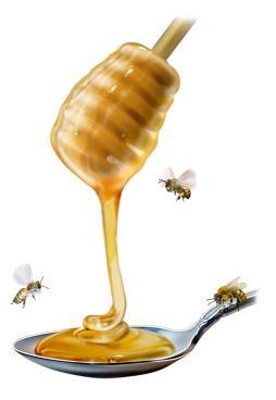 31 Entry Fee: Honey, This Is A Dessert Contest 1 Entry Per Class, Per Exhibitor Online Entry Deadline: June 27 th Sponsored By: Alameda County Beekeepers Association (The Oldest Beekeepers