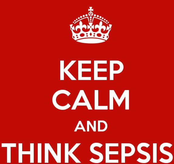 Sepsis the facts 37,000 deaths in the UK per year 35% mortality risk 1 in 3 ICU admissions 1 in 7