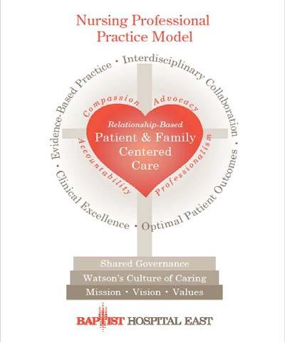 The core of nursing at BHE is represented in the Professional Practice Model Background