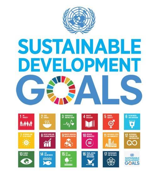Values for Sustainable Development Competitive Blue Economy: building a strong business climate, investment, efficient regulation for innovation and infrastructure.