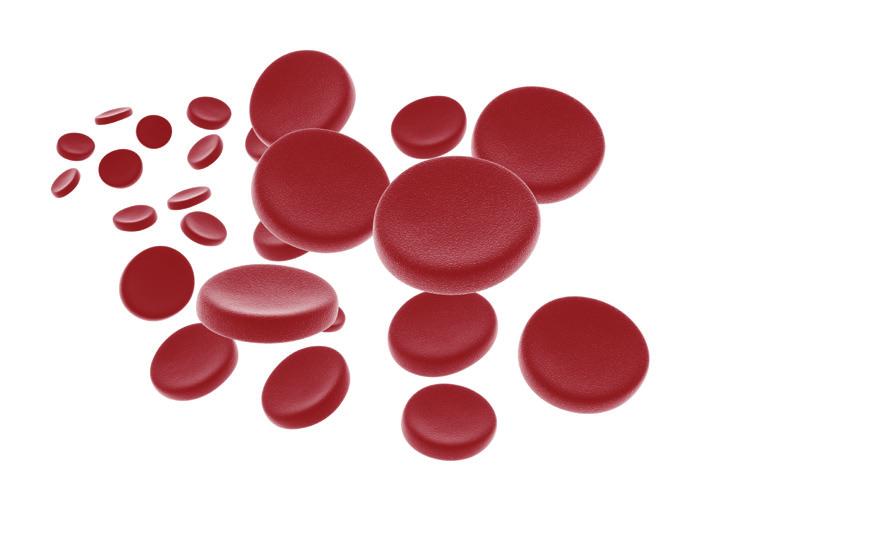 PATIENTS BENEFIT FROM RECEIVING THEIR OWN BLOOD AND AVOIDING THE RISKS ASSOCIATED WITH RECEIVING ALLOGENEIC BLOOD.