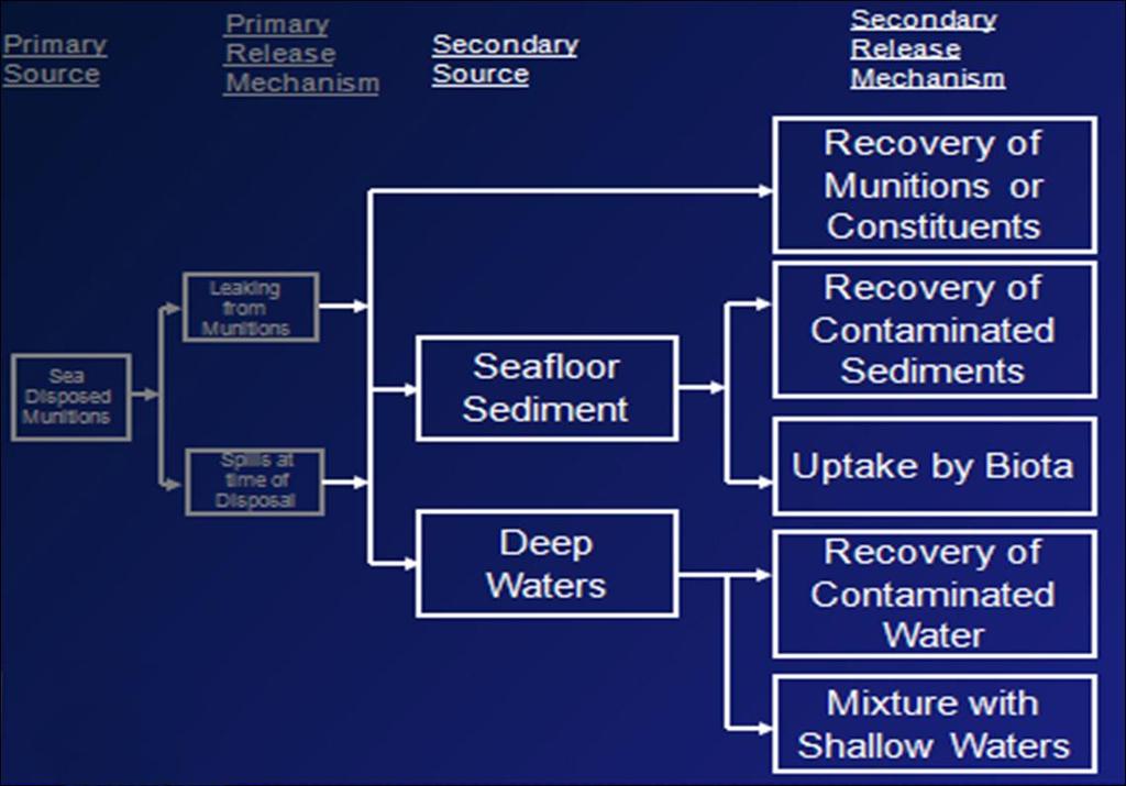 Conceptual Site Model Seafloor Sediment Uptake by Biota