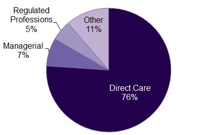 05 27 Job role groups Table 5.3 shows that around three-quarters of adult social care jobs were direct care providing (76%).