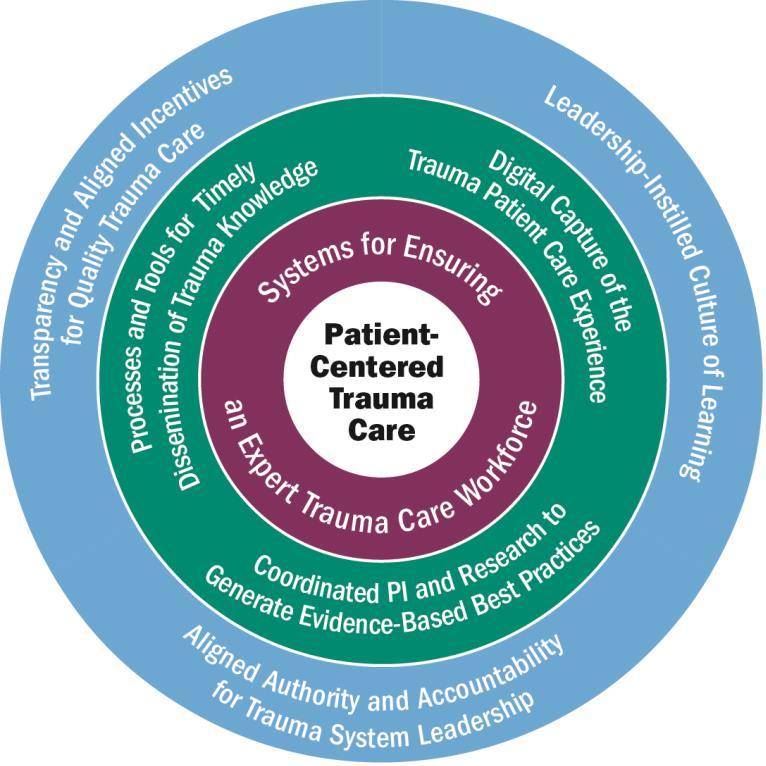 Framework for a Learning Trauma Care System Committee built upon the components of a continuously learning health system articulated by IOM (2013) report Best Care at Lower Cost.