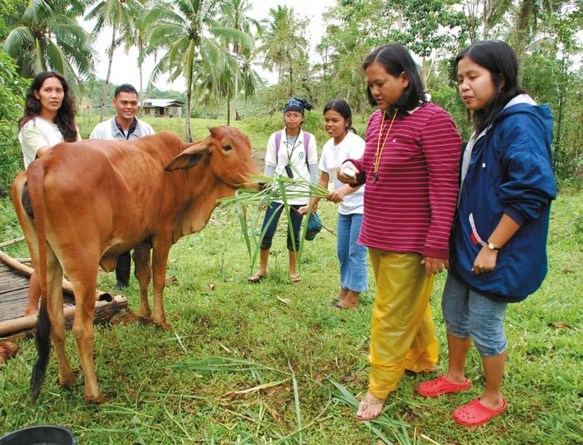 The Catigbian Agro-Tourism and Technology for Livestock Enhancement (CATTLE) Project in the Philippines works to improve household
