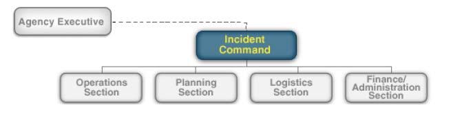 ICS Organization in a Health Care Center Incident Commander & Agency Executive The IC commands the incident but periodically communicates to the agency executive