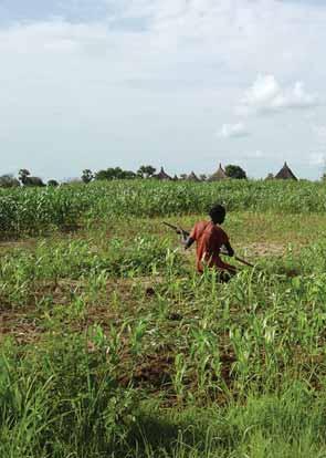 Inset: Weeding the household plot in South Sudan, Valid  Published by: Emergency Nutrition