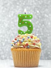 The Care Search Nurses Hub turns five! Five years ago today, the Care Search Nurses Hub was officially launched on 27 August 2010 to coincide with the Palliative Care Nurses Australia conference.