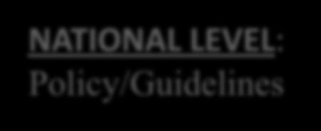 improvement tool NATIONAL LEVEL: Policy/Guidelines