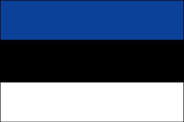 ESTONIA Estonia has tasked its maritime administration with marine casualty investigation in as much as casualties involving ship safety are involved.