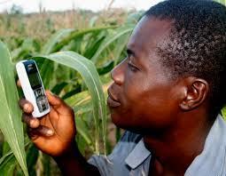 Orange, IER, RONGEAD, SNV: Sènèkela Mali hotline a platform for farmers in