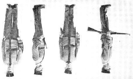Being at trail arms: 1. Order, 2. ARMS. CORRECT POSITION OF TRAIL ARMS At the command arms, lower the gun with the right hand and resume the order.