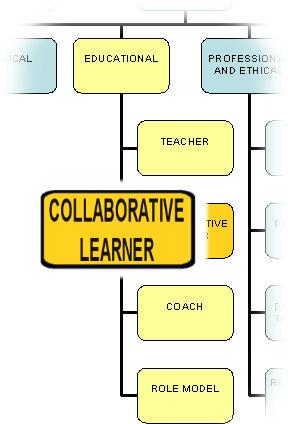 EDUCATOR DOMAIN Collaborative learner In learning collaboratively the GP Supervisor is modelling life-long learning.