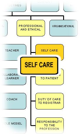 PROFESSIONAL AND ETHICAL DOMAIN Self-care The knowledge, skills, values and attributes in self-care are pre-requisite for GP Supervisors.