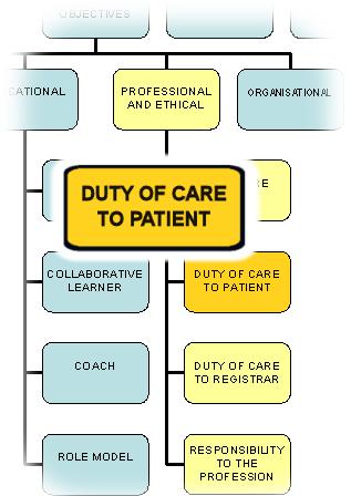 PROFESSIONAL AND ETHICAL DOMAIN Duty of Care to Patients The Supervisor shares with the Registrar a responsibility for the care of the Registrar s patients.