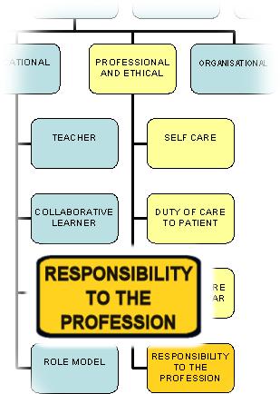 PROFESSIONAL AND ETHICAL DOMAIN Responsibility to the Profession GP Supervisors are leaders within the General Practice profession and are best placed to uphold the standards of the profession.
